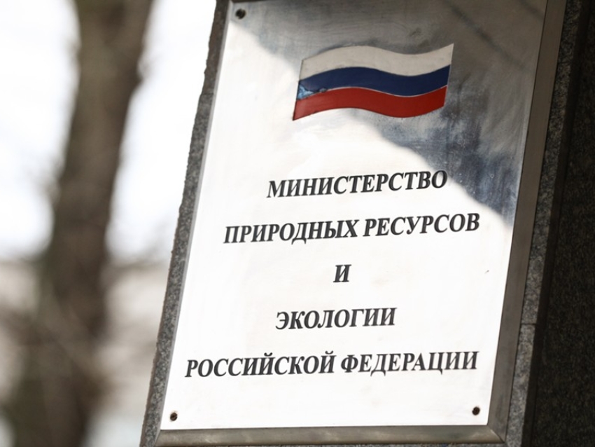 Бизнес-омбудсмен Забайкалья вошла в состав рабочей группы при Минприроды РФ